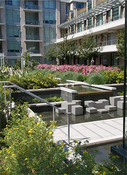 Landscaped courtyard