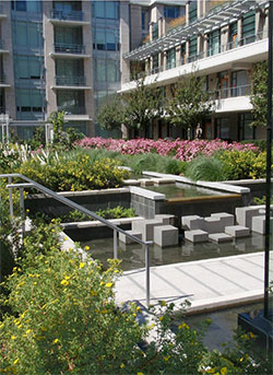 Landscaped courtyard