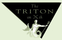 The Triton Logo
               