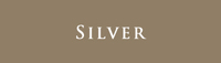 Silver Logo
               